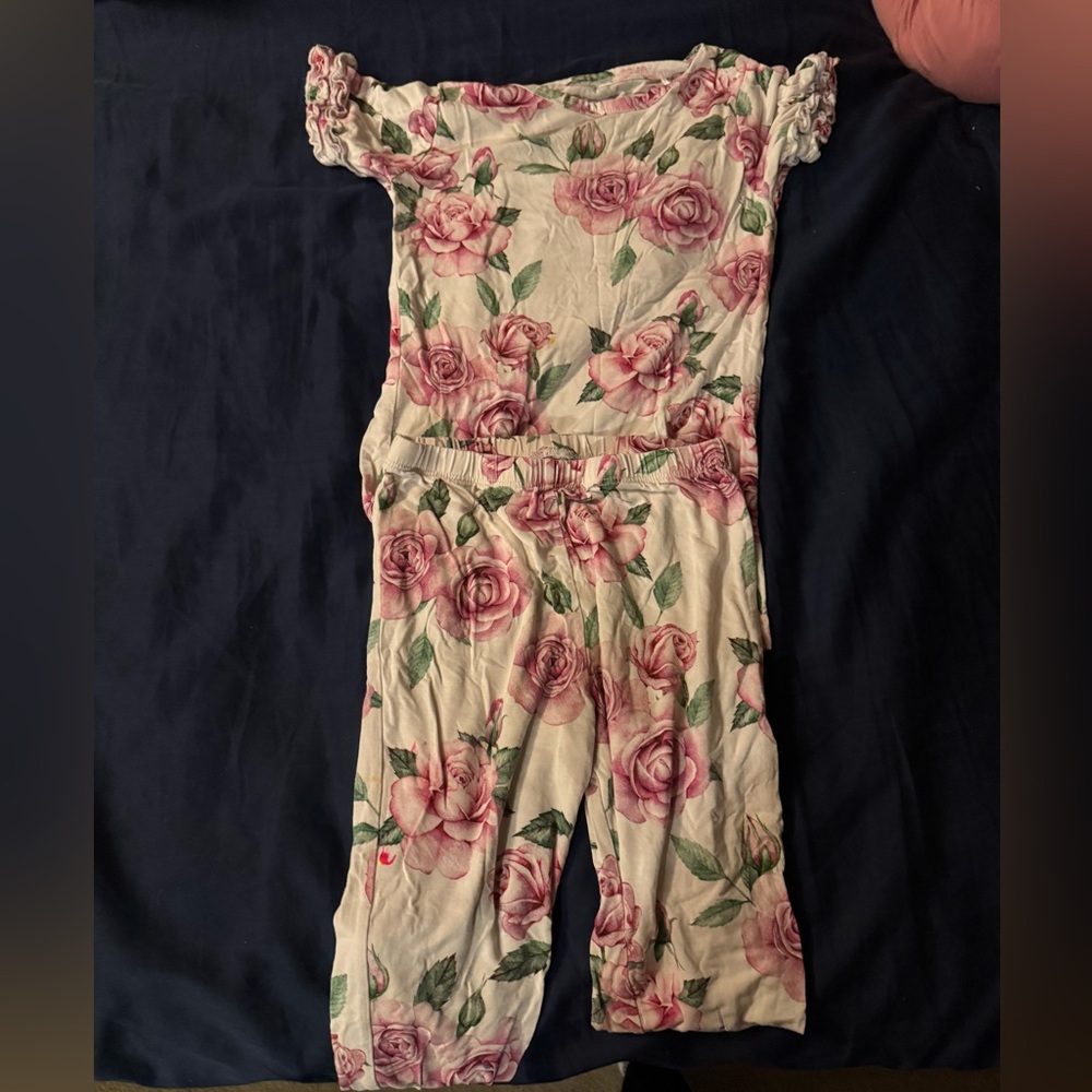 Posh Peanut Rose Girls Bamboo Pajama set with ruffled  sleeves.
